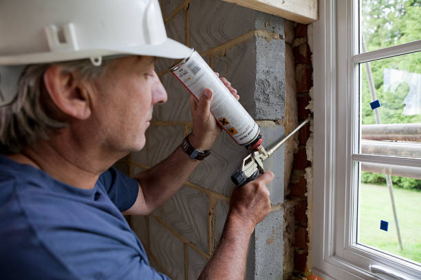 Best Insulation Air Sealing  in Bishopville, SC