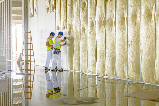 Best Basement Insulation  in Bishopville, SC